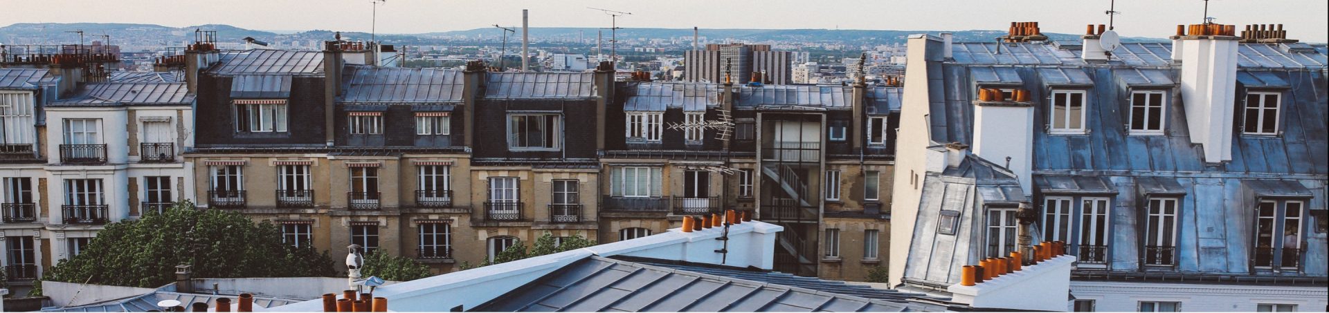 Vue des toits de Paris